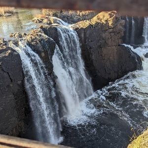Meet your Posher, Elaine